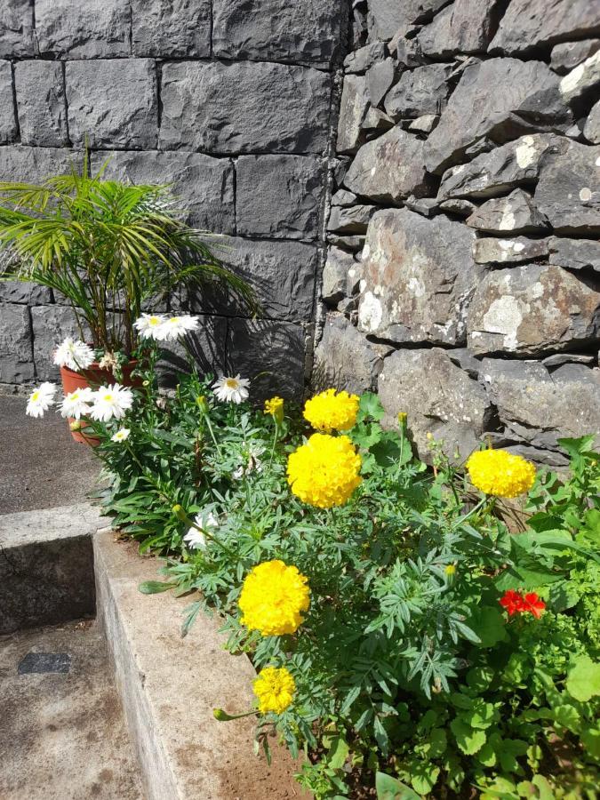 Paraiso Resiliente Santana  Exteriör bild
